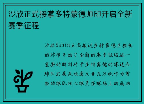 沙欣正式接掌多特蒙德帅印开启全新赛季征程