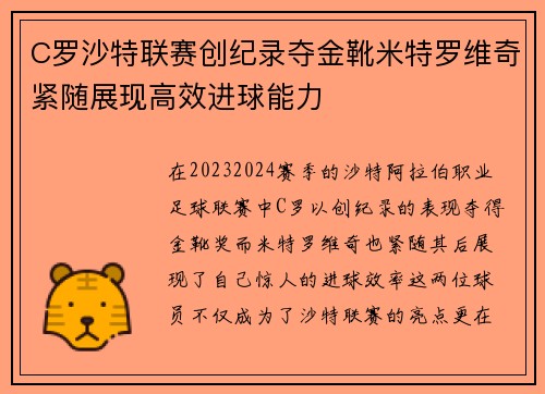 C罗沙特联赛创纪录夺金靴米特罗维奇紧随展现高效进球能力 C罗沙特联赛创纪录夺金靴米特罗维奇紧随展现高效进球能力